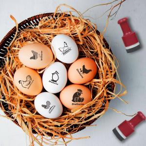 Mini egg stamp customized personalized logo  mini rubber ink egg  stamp for farm